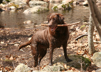 Summer 2010